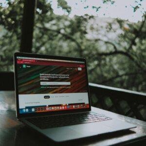 Premium Website Hosting & Maintenance